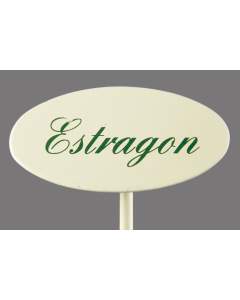 Münder Gewürzstecker Estragon Spiess 20 cm