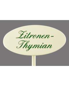 Münder Gewürzstecker Zitronen Thymian Spiess 20 cm