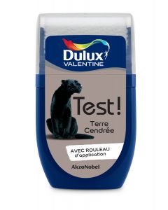 Dulux-Valentine Tester Asche Asche 30 ml